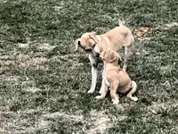 processed/f7c4fd65-c4eb-4ad4-89bc-60ae2f8941fd/listing/bf783b42-6a55-457d-8876-ce5f48ce5021/55d63710-9ea2-41ac-80b7-ef8de5616795