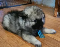 processed/f7cd6e60-a78d-45ef-abb4-eea372b8fc82/listing/7268b05f-cf63-47c9-8a4b-03463d36da2f/ee4642cb-7e07-4cf5-b200-fe7eaba54e7e