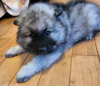 processed/f7cd6e60-a78d-45ef-abb4-eea372b8fc82/listing/8d77a267-949c-4d9f-ab50-e55fa0483b2f/1b6492c9-14b8-41d2-9fee-f6a023b861d9