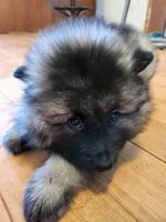 processed/f7cd6e60-a78d-45ef-abb4-eea372b8fc82/listing/a36e8dc2-e028-47cc-bb4e-55459593f437/f5273968-3fbe-4547-b586-29dfdc440f31