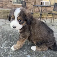 processed/f7d249a0-736c-41bd-95d7-ddc30c8c9943/listing/7d3f6615-054c-473e-a871-8121685801f7/f34a4fe4-cae3-42da-866a-a8f6b2e421f9