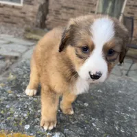 processed/f7d249a0-736c-41bd-95d7-ddc30c8c9943/listing/888154cb-a6f8-4847-ba6a-1dc48b662f83/c3672c37-6298-4cbc-bb0b-55927f169b71