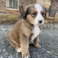 processed/f7d249a0-736c-41bd-95d7-ddc30c8c9943/listing/888154cb-a6f8-4847-ba6a-1dc48b662f83/e695a21b-3d52-4c5c-be4c-3c0706da5f3e