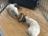 processed/f7d7ceb5-0e09-493e-a46c-93c0305d34bd/facility/0ac5eee0-ad71-4eb2-866b-3c9e0cec4552