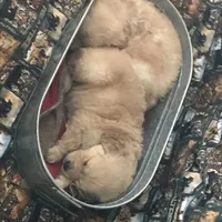 processed/f7d7ceb5-0e09-493e-a46c-93c0305d34bd/facility/3f69d971-cf8f-4515-8302-7f1f83b04948