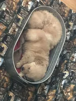 processed/f7d7ceb5-0e09-493e-a46c-93c0305d34bd/facility/3f69d971-cf8f-4515-8302-7f1f83b04948