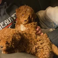 processed/f7d7ceb5-0e09-493e-a46c-93c0305d34bd/facility/6c7a7cc8-977e-4735-80d1-109950009ad1