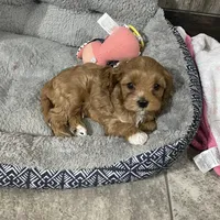 processed/f7d7ceb5-0e09-493e-a46c-93c0305d34bd/facility/736b3c53-a4f5-48bd-bf1d-0fb5efe87ef2