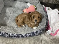 processed/f7d7ceb5-0e09-493e-a46c-93c0305d34bd/facility/736b3c53-a4f5-48bd-bf1d-0fb5efe87ef2