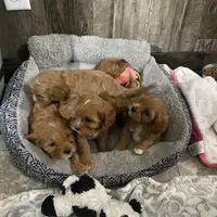 processed/f7d7ceb5-0e09-493e-a46c-93c0305d34bd/facility/c671b6f2-5fd6-4f2d-9af1-f8f38a7b8556