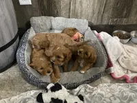 processed/f7d7ceb5-0e09-493e-a46c-93c0305d34bd/facility/c671b6f2-5fd6-4f2d-9af1-f8f38a7b8556