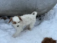 processed/f7d7ceb5-0e09-493e-a46c-93c0305d34bd/listing/59f4a80a-e45b-4221-b348-8f829c6c9018/2cb25383-fcb0-4d54-a889-0cb366b392b5