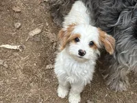 processed/f7d7ceb5-0e09-493e-a46c-93c0305d34bd/listing/59f4a80a-e45b-4221-b348-8f829c6c9018/f5cfb248-382b-4805-b15a-392f7b63ff68