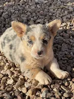 processed/f7e8dbfc-0f93-4ca0-b2ce-b699bcb3ab59/facility/192d88c7-3166-4491-b169-ab9242cdf815