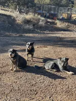 processed/f7e8dbfc-0f93-4ca0-b2ce-b699bcb3ab59/facility/1c431c6d-c04d-488d-9e51-e6a243c2b904