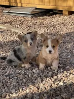 processed/f7e8dbfc-0f93-4ca0-b2ce-b699bcb3ab59/facility/851177c1-d011-41ad-80e1-7f801efe05c7