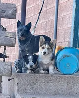 processed/f7e8dbfc-0f93-4ca0-b2ce-b699bcb3ab59/facility/8a364f8d-e961-4527-bd3a-01572b7696d4