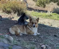 processed/f7e8dbfc-0f93-4ca0-b2ce-b699bcb3ab59/facility/adfe386e-602d-4d30-925a-1cf8d416f7da