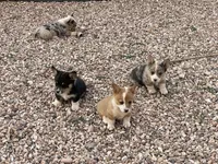 processed/f7e8dbfc-0f93-4ca0-b2ce-b699bcb3ab59/facility/f2ab12a8-09fd-4a3e-addd-e3afc0a4bb53