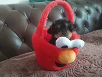 processed/f7f62b28-70f4-4e98-9783-33baac6acf2b/listing/528aad85-913b-441e-ad8c-85be4b1ffbaf/05f122ad-fe1b-4a26-9420-f7eb7f615733