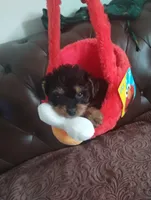 processed/f7f62b28-70f4-4e98-9783-33baac6acf2b/listing/528aad85-913b-441e-ad8c-85be4b1ffbaf/29168d91-1e0b-42a0-b4db-991e7a6e4126