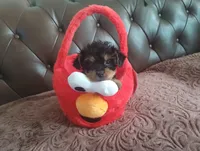 processed/f7f62b28-70f4-4e98-9783-33baac6acf2b/listing/528aad85-913b-441e-ad8c-85be4b1ffbaf/6d7791e2-bad0-442e-aec8-b5d075efb8f3