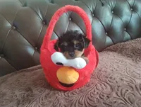 processed/f7f62b28-70f4-4e98-9783-33baac6acf2b/listing/528aad85-913b-441e-ad8c-85be4b1ffbaf/cb3060ae-de27-4df4-a3d6-23d3a1c546d4