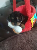 processed/f7f62b28-70f4-4e98-9783-33baac6acf2b/listing/528aad85-913b-441e-ad8c-85be4b1ffbaf/ccff39c0-5959-4b37-9e5a-d4aa907d231c