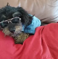 processed/f7f62b28-70f4-4e98-9783-33baac6acf2b/listing/c0ca8e18-b152-45c6-9518-42e0dbb1f588/fd2c9ec2-44e0-4145-a1ed-49d95a847c6d