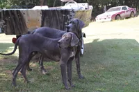 processed/f7f641bb-58cf-4e15-a875-2348da9c10e3/facility/01d1d036-f8ce-41eb-9b88-38efa5da9183