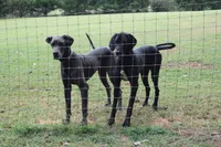 processed/f7f641bb-58cf-4e15-a875-2348da9c10e3/facility/4ae36e6a-2170-45fc-a1c7-76e8830b2ce6