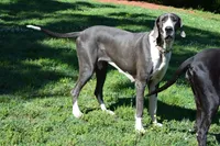 processed/f7f641bb-58cf-4e15-a875-2348da9c10e3/facility/4b5d7683-2550-47fe-83c6-64add5ddef09