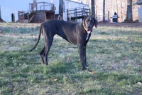 processed/f7f641bb-58cf-4e15-a875-2348da9c10e3/facility/dc4664ee-4cf9-4f58-bd07-abb6e0e30324