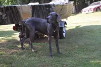 processed/f7f641bb-58cf-4e15-a875-2348da9c10e3/facility/e1fc9d8e-204a-4f2b-8208-05b5f225fd6e