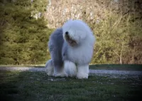 processed/f7fa07df-4c5b-47f4-badc-ab6d498449ec/facility/0c11f8c1-e33b-4f7c-9e57-2f93b6737078