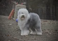 processed/f7fa07df-4c5b-47f4-badc-ab6d498449ec/facility/47492ae9-ef63-46c1-8195-7630a03c859f