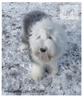 processed/f7fa07df-4c5b-47f4-badc-ab6d498449ec/facility/76ff42d7-4e09-47f1-90e3-67b04598aee5