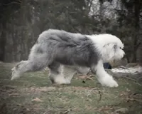 processed/f7fa07df-4c5b-47f4-badc-ab6d498449ec/facility/dd11b068-7a3b-4e8d-9817-5e0a54591a01