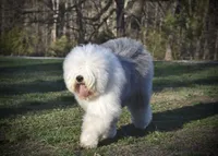 processed/f7fa07df-4c5b-47f4-badc-ab6d498449ec/facility/e7dca76f-da74-4113-9865-5ad060bcb106