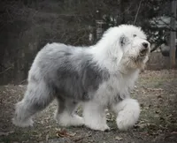 processed/f7fa07df-4c5b-47f4-badc-ab6d498449ec/facility/f5b52f31-a3f3-4fad-9ce3-78a5776b1ce5