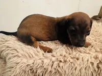 processed/f8031031-3052-4a5f-9583-1bcec0286b97/listing/c100891d-e902-4d1d-a24a-332a52af86b2/b9121894-0fc8-462d-b19b-0218979f7418