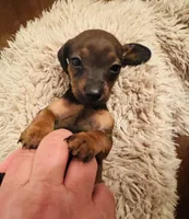 processed/f8031031-3052-4a5f-9583-1bcec0286b97/listing/c100891d-e902-4d1d-a24a-332a52af86b2/e0d535ed-9370-4130-86bd-832d3e399223