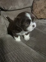 processed/f8078e09-20c9-4c87-9d5b-96ba84fa7f54/listing/41d0f40d-f9ae-45a6-b7a2-d98721cc9a3c/10ac4d4f-f2cc-424e-aa7f-05749689a7c4