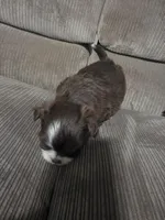 processed/f8078e09-20c9-4c87-9d5b-96ba84fa7f54/listing/41d0f40d-f9ae-45a6-b7a2-d98721cc9a3c/738831db-6ae9-4062-8744-a947dc52790e