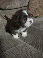 processed/f8078e09-20c9-4c87-9d5b-96ba84fa7f54/listing/41d0f40d-f9ae-45a6-b7a2-d98721cc9a3c/87318eb9-426e-4e0c-981d-2a08d3b7b2c3