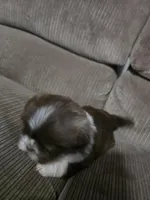 processed/f8078e09-20c9-4c87-9d5b-96ba84fa7f54/listing/5708dea3-9bcd-4b67-888f-bcaeca1d5467/33fb5bee-0586-4239-9172-aee8fa7fdb85