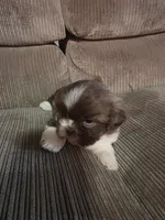 processed/f8078e09-20c9-4c87-9d5b-96ba84fa7f54/listing/5708dea3-9bcd-4b67-888f-bcaeca1d5467/462f5f29-e5e6-4ac5-989d-c925a6932978