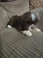 processed/f8078e09-20c9-4c87-9d5b-96ba84fa7f54/listing/5708dea3-9bcd-4b67-888f-bcaeca1d5467/4c2ef1d4-1328-4439-82d1-59a83638065f