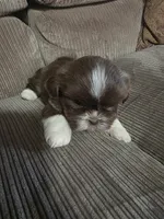 processed/f8078e09-20c9-4c87-9d5b-96ba84fa7f54/listing/5708dea3-9bcd-4b67-888f-bcaeca1d5467/af33e93a-da31-44a4-893e-2572453b5863