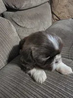 processed/f8078e09-20c9-4c87-9d5b-96ba84fa7f54/listing/5708dea3-9bcd-4b67-888f-bcaeca1d5467/da8be2fb-df81-4f62-9466-2af99ead967d